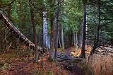 Rideau Trail_10792-3